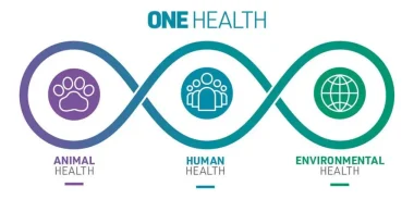 OneHealth